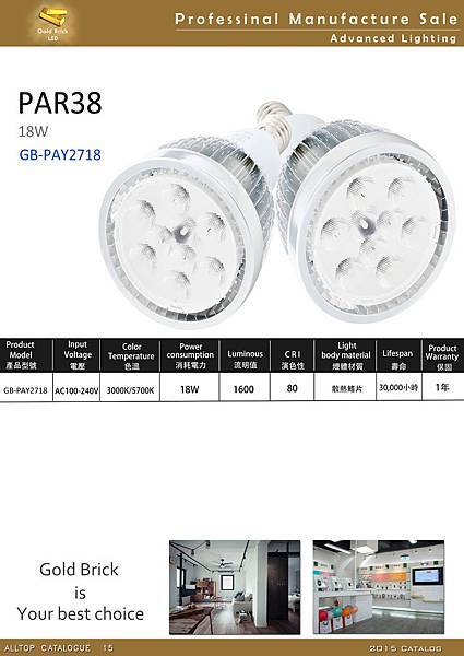 PAR38 LED燈18W