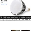 PAR38 LED燈20W