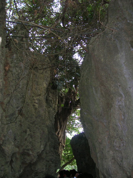 社頂公園