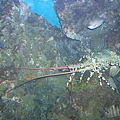 DSCN1698.JPG