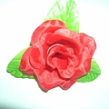 DSCN1879.JPG