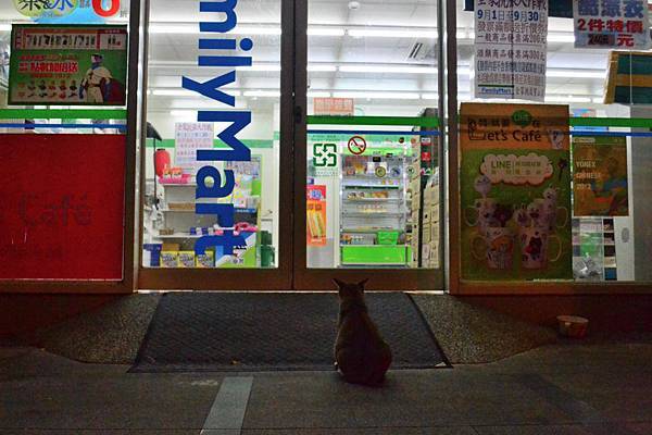 可愛的貓貓 凌晨1點多 孕喵媽又來到全家店門口乞食 可愛的貓貓 痞客邦 可愛的貓貓 凌晨1點多 孕喵媽又來到全家店門口乞食 可愛的貓貓 痞客邦
