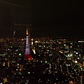 DAY2紫色的東京鐵塔