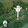 DSC01436.JPG