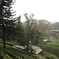 DSC01487.JPG