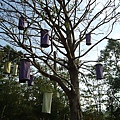 DSC01454.JPG