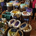 DSC01459.JPG