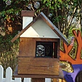 DSC01456.JPG