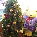 DSC01467.JPG