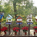 DSC01473.JPG