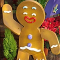 DSC01474.JPG