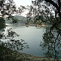 DSC01490.JPG