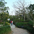DSC01440.JPG