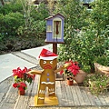 DSC01471.JPG
