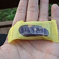 DSC01499.JPG