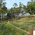 DSC01478.JPG