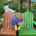 DSC01510.JPG