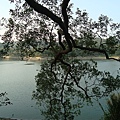 DSC01492.JPG