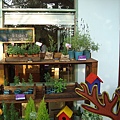 DSC01469.JPG