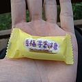 DSC01498.JPG