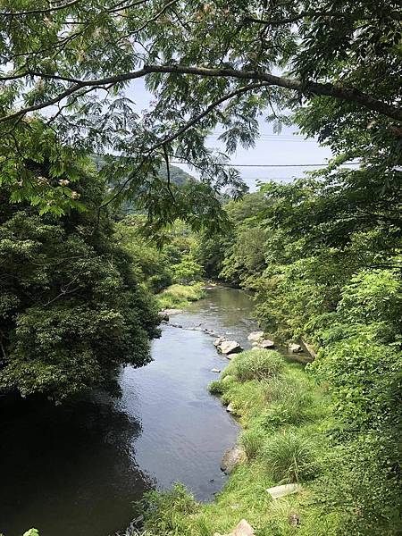 2023日本自助旅行~京都的美麗秘境瑠璃光院