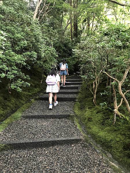 2023日本自助旅行~京都的美麗秘境瑠璃光院