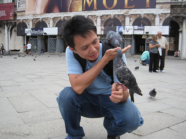 聖馬可廣場有名的鴿子群