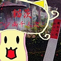 賀貓茨BLOG2000人次!