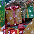 DSCF3195.JPG