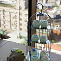 DSCF4790.JPG