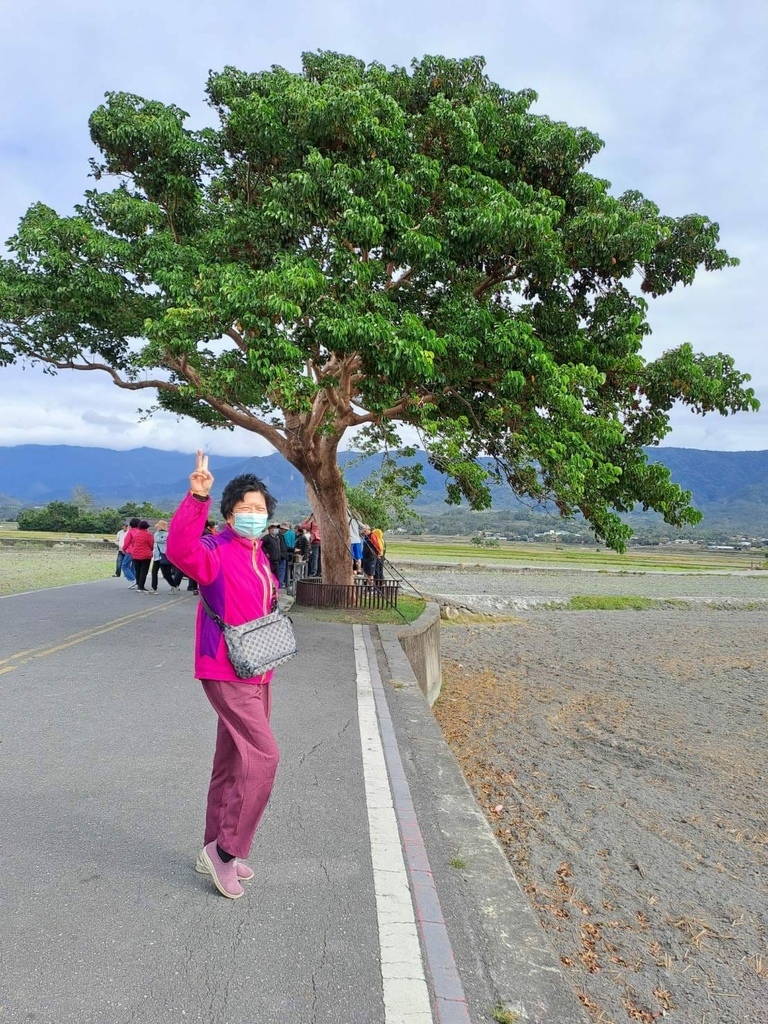 [分享]台灣在地旅遊:旅行團、自由行、露營