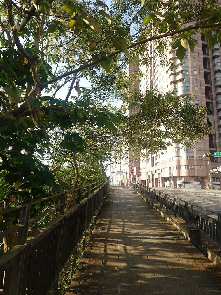 [分享]新店碧潭散心