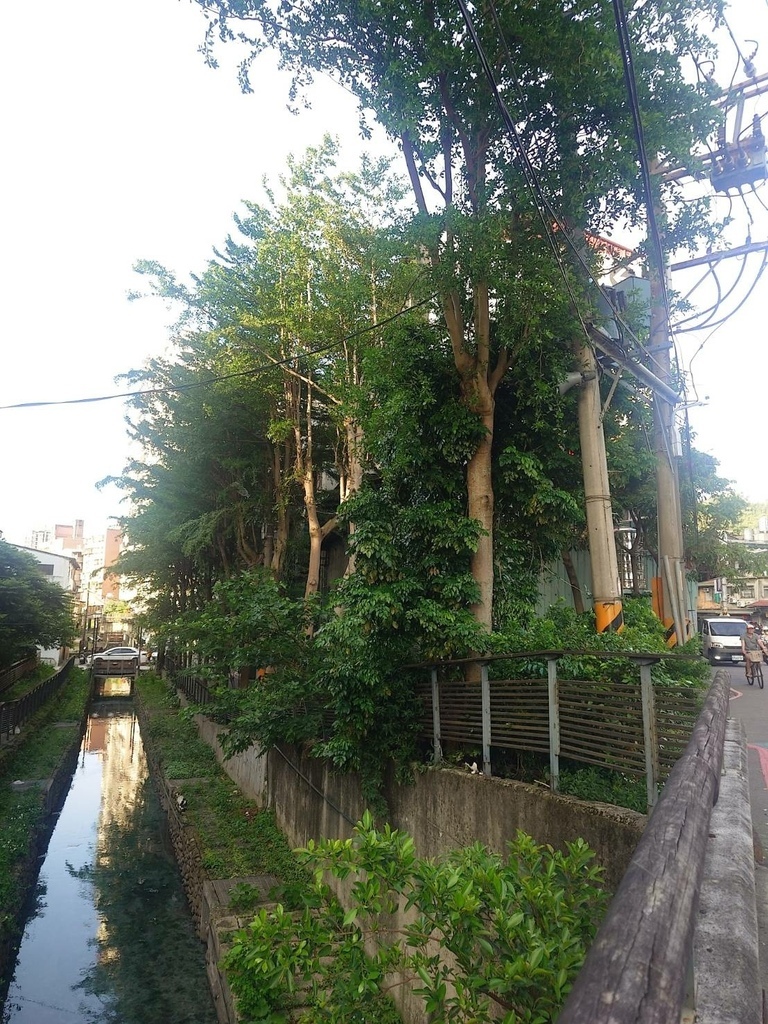 [分享]新店碧潭散心