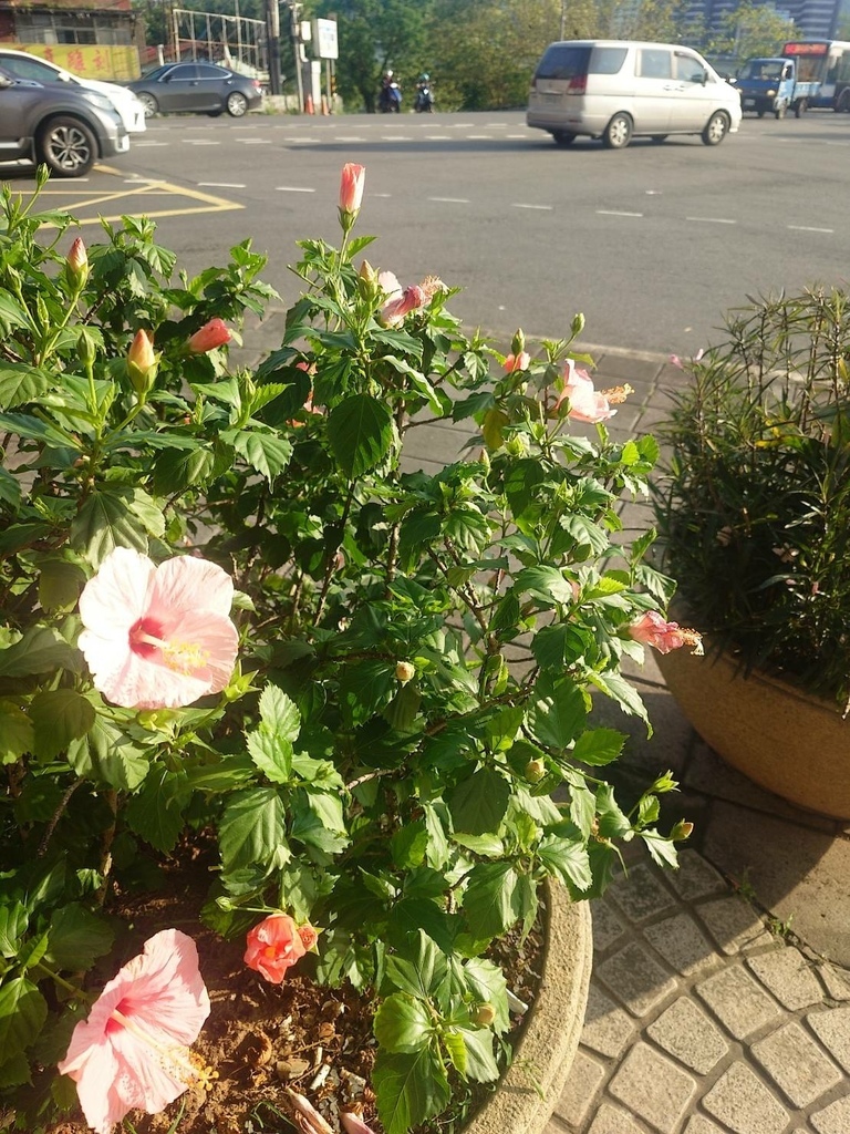 [分享]新店碧潭散心