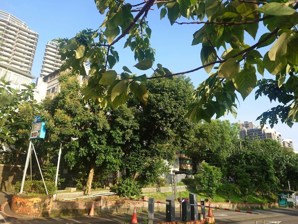 [分享]新店碧潭散心