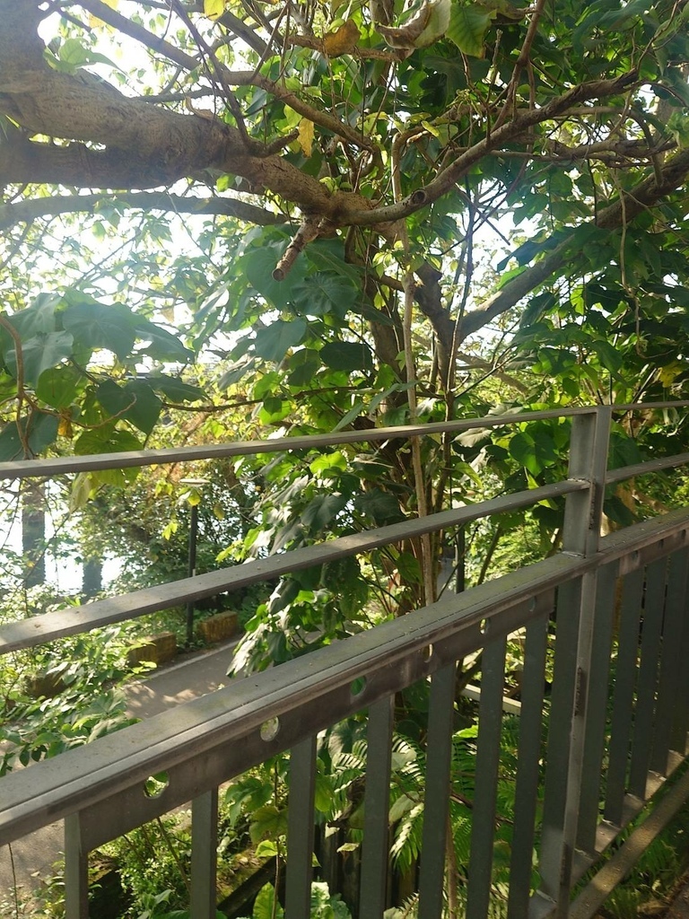 [分享]新店碧潭散心