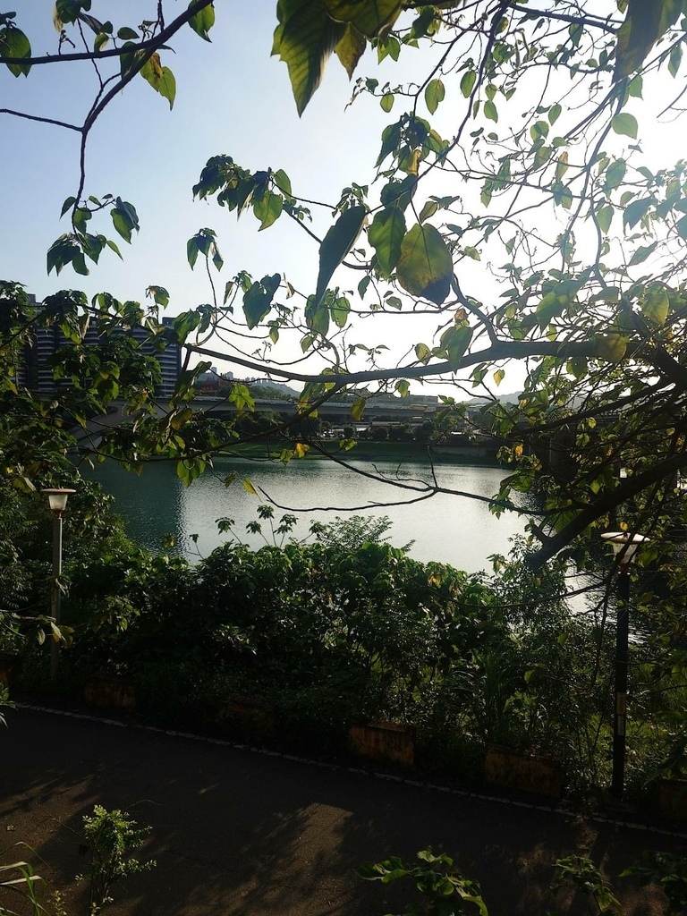 [分享]新店碧潭散心