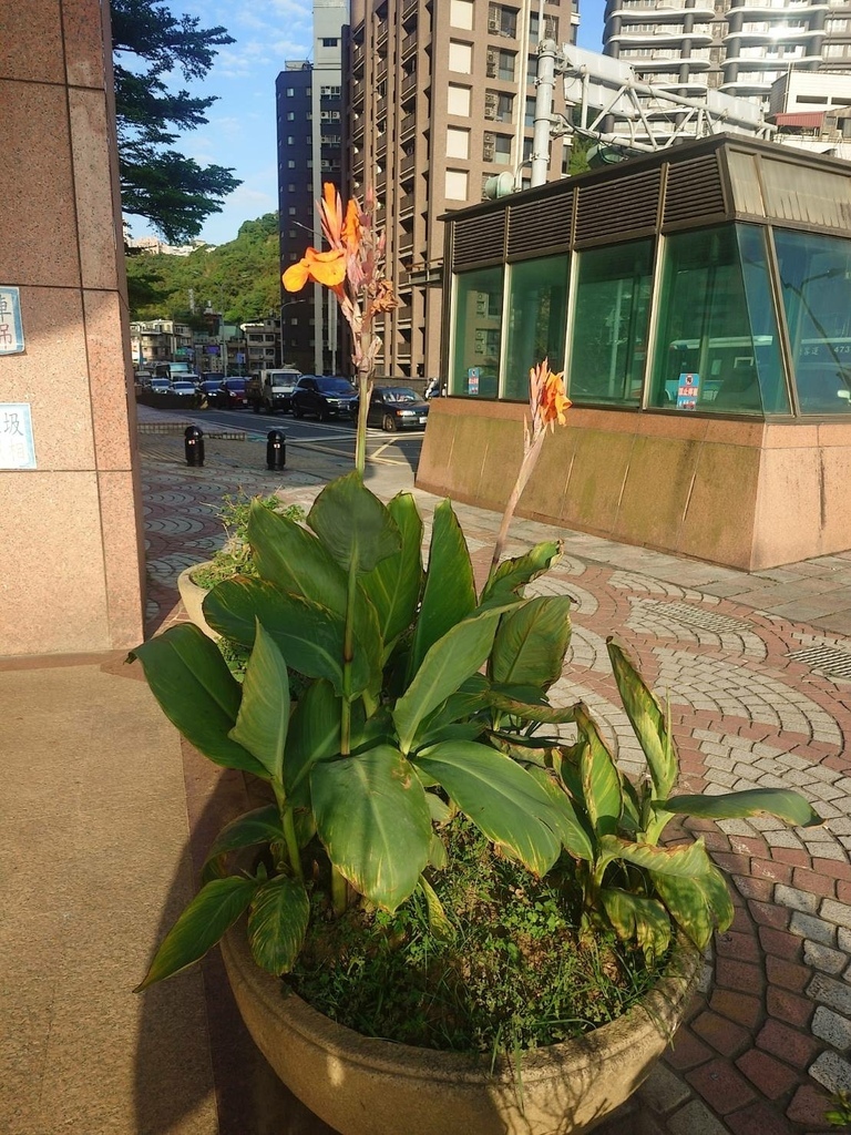 [分享]新店碧潭散心