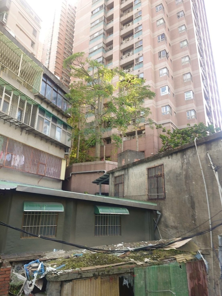 [分享]新店碧潭散心