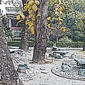 145e2a1931f51c.jpg