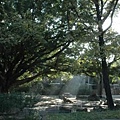 200910270453021256633582484(10).jpg