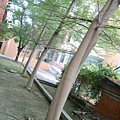 146135b6029086.jpg