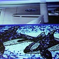 IMG_0127.JPG