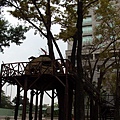 IMG_0020.JPG