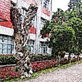 normal_e01323f2927ad1a2b559bf24cac1b852.jpg