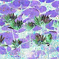 Water lilies.jpg