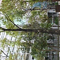 IMG_0018.JPG