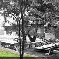 148a147236791d.jpg