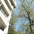 200910270453021256633582484(0).jpg