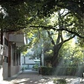 200910270453021256633582484(9).jpg